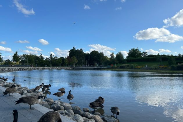 Telford Town Park