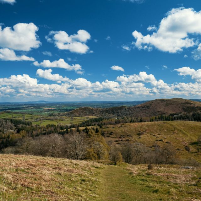 near Shifnal in Shropshire